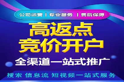 搜索引擎关键词竞价排名的策略调整与案例